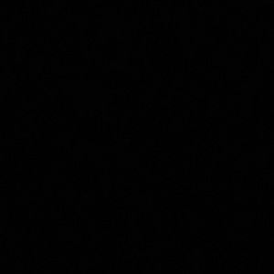 Meet your Posher, Hayley